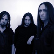 Novembre - List pictures