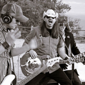 Tractor Troy - List pictures