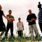 Red Snapper - List pictures