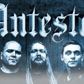 Antestor - List pictures