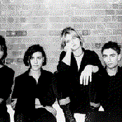 Elastica - List pictures