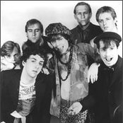 The Members - List pictures