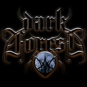 Dark Forest - List pictures