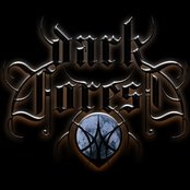 Dark Forest - List pictures