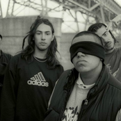 Tiro De Gracia - List pictures