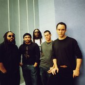 Dave Matthews Band - List pictures
