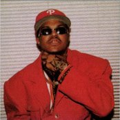 Dj Paul - List pictures