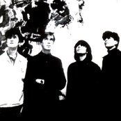 The Servants - List pictures