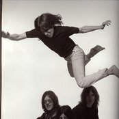 Stooges - List pictures