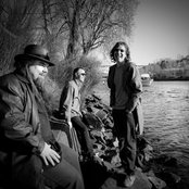 Brad - List pictures