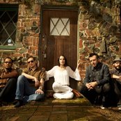 Loquat - List pictures