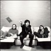 Verbena - List pictures