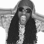 Royale - List pictures