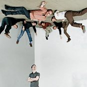 Fond Of Tigers - List pictures