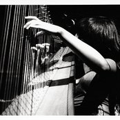 Joanna Newsom - List pictures