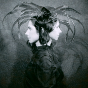 Polly Jean Harvey - List pictures