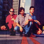 Spot - List pictures