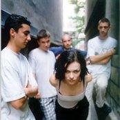 Negative - List pictures