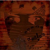 Medium - List pictures