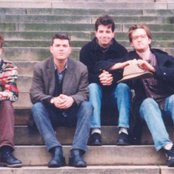 New Radiant Storm King - List pictures