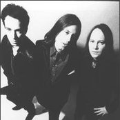 Urge Overkill - List pictures