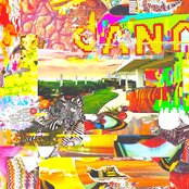 Dana - List pictures