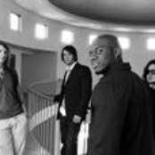 Stars Go Dim - List pictures