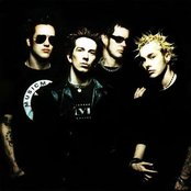 American Pearl - List pictures