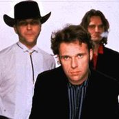 Fatima Mansions - List pictures