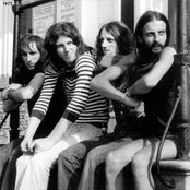 Finch - List pictures