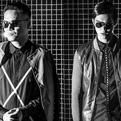 White Rose - List pictures