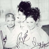 Wild Orchid - List pictures