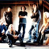 Bay Laurel - List pictures