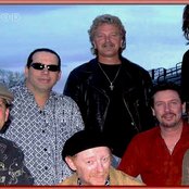 Cold Blood - List pictures