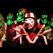Colonel Les Claypool's Fearless Flying Frog Brigade - List pictures