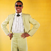 Stevie Wonder - List pictures