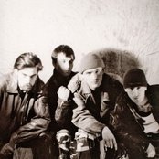 The Strawberry Jam - List pictures