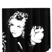 Voice Of The Beehive - List pictures