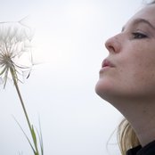 Tift Merritt - List pictures