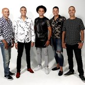 Exaltasamba - List pictures