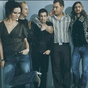 Cardigans - List pictures