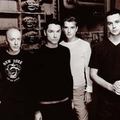 Bush - List pictures