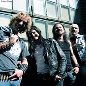 Wolf - List pictures