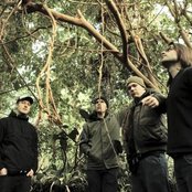 Long Distance Calling - List pictures