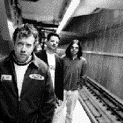 Down By Law - List pictures