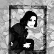 Diva - List pictures