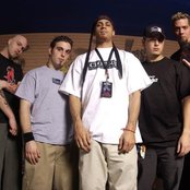 40 Below Summer - List pictures