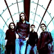 The Veils - List pictures