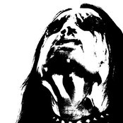 Nattefrost - List pictures