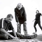 Spiderbait - List pictures